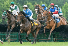 What are the differences between flat racing and steeplechase?