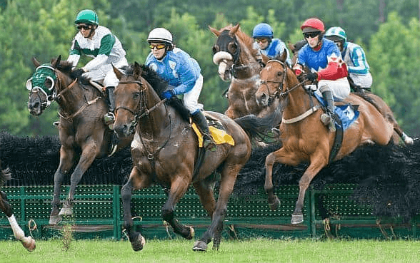 What are the differences between flat racing and steeplechase?