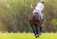 How do players and horses train for polo matches?