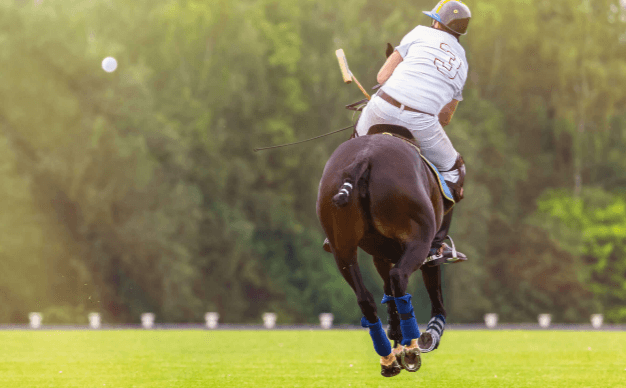 How do players and horses train for polo matches?