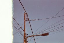 support line phone number