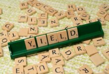 top steady dividend stocks