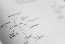 business growth stability plan