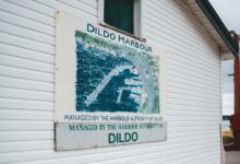 loyalty engagement authority map