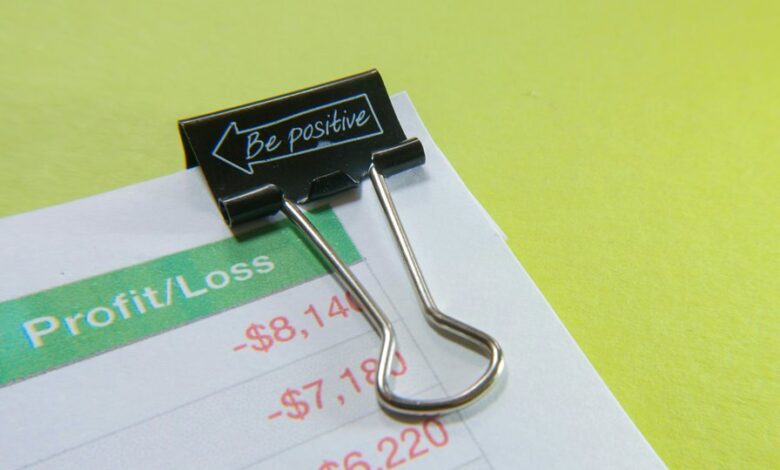 revenue model for profit