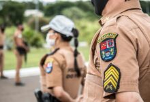 search authority engine rankings