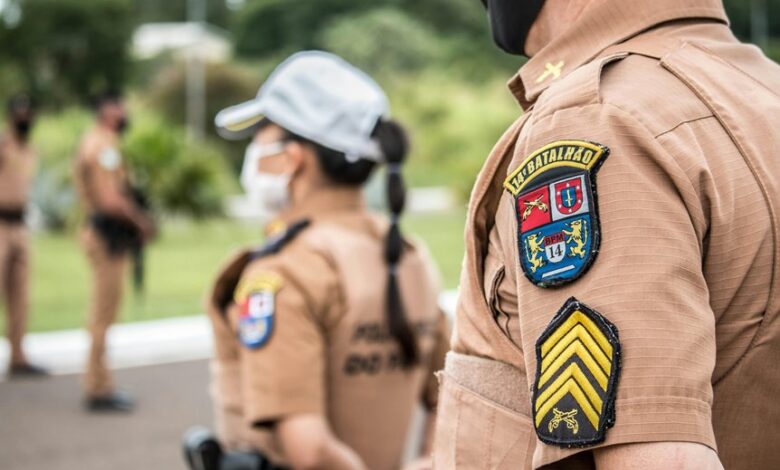 search authority engine rankings