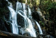 market flow competitive advantage