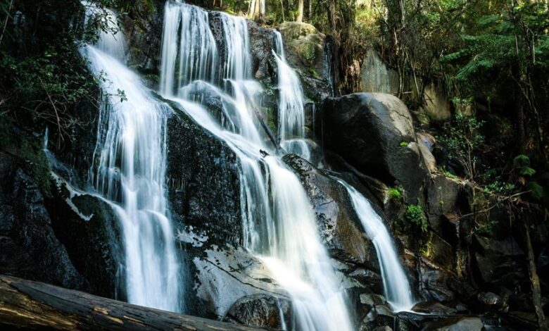 market flow competitive advantage