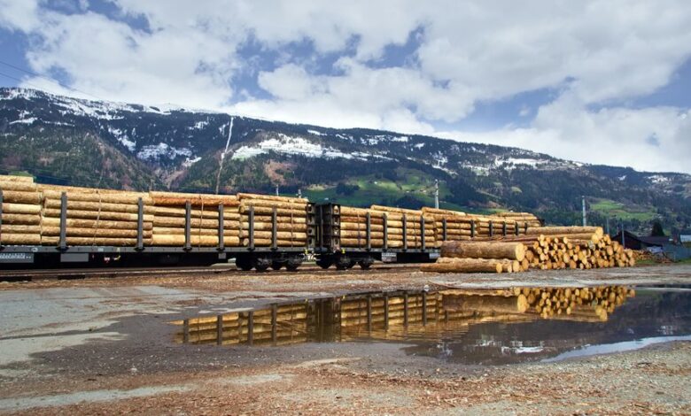 platform activity logs overview