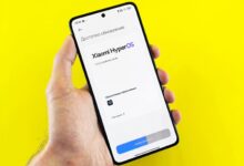 sapiosexual insights and updates