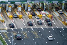 vertex flow growth lane